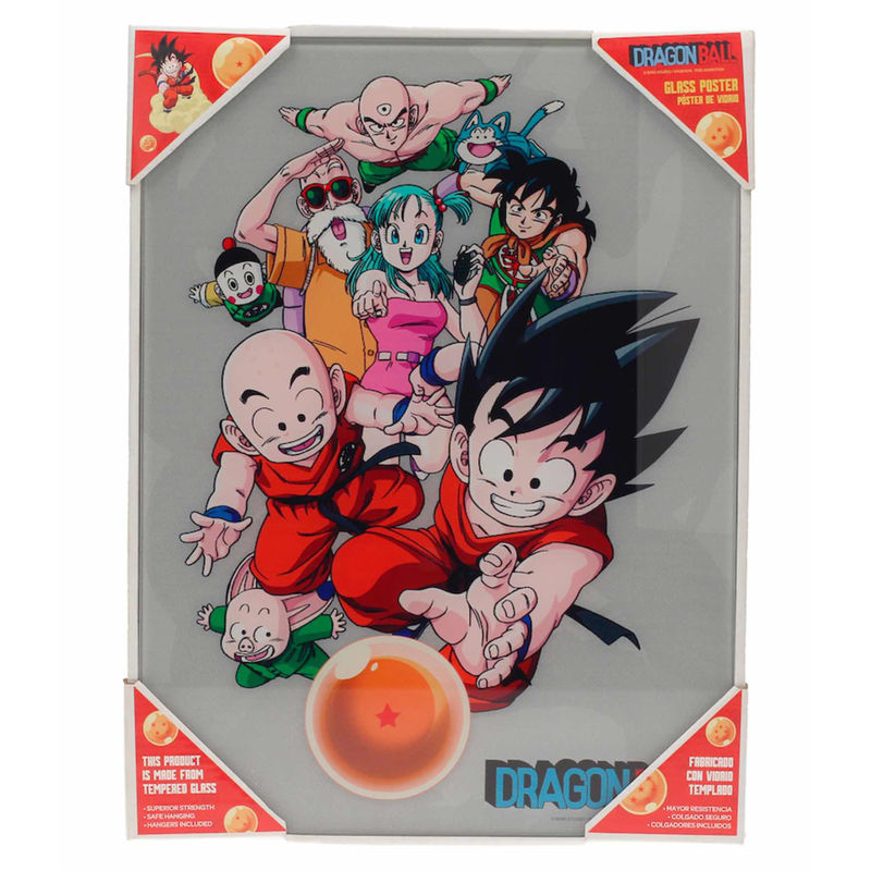 Dragon Ball characters glass poster