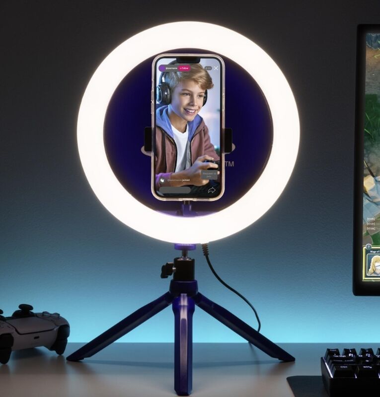 Disney Wish Wall vinyl