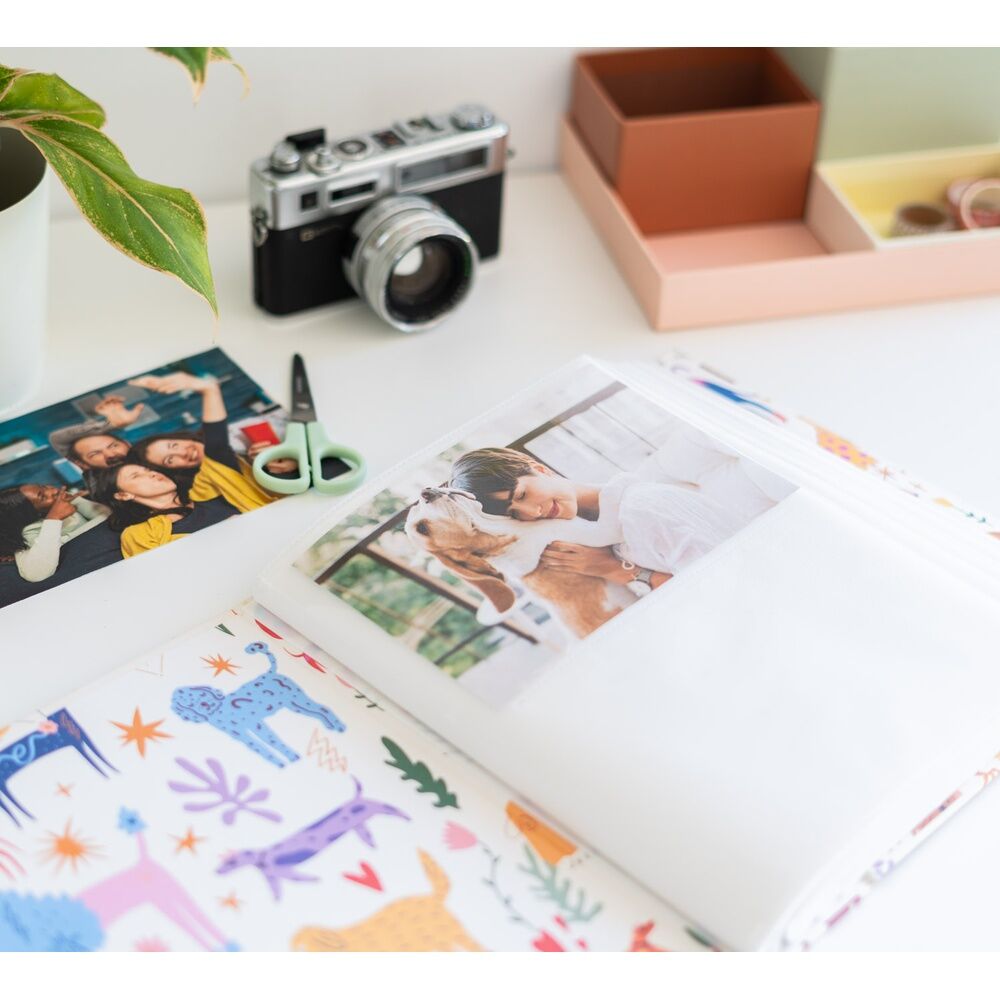 Cute Dogs Photo album