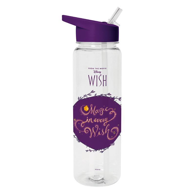 Disney Wish bottle 700ml