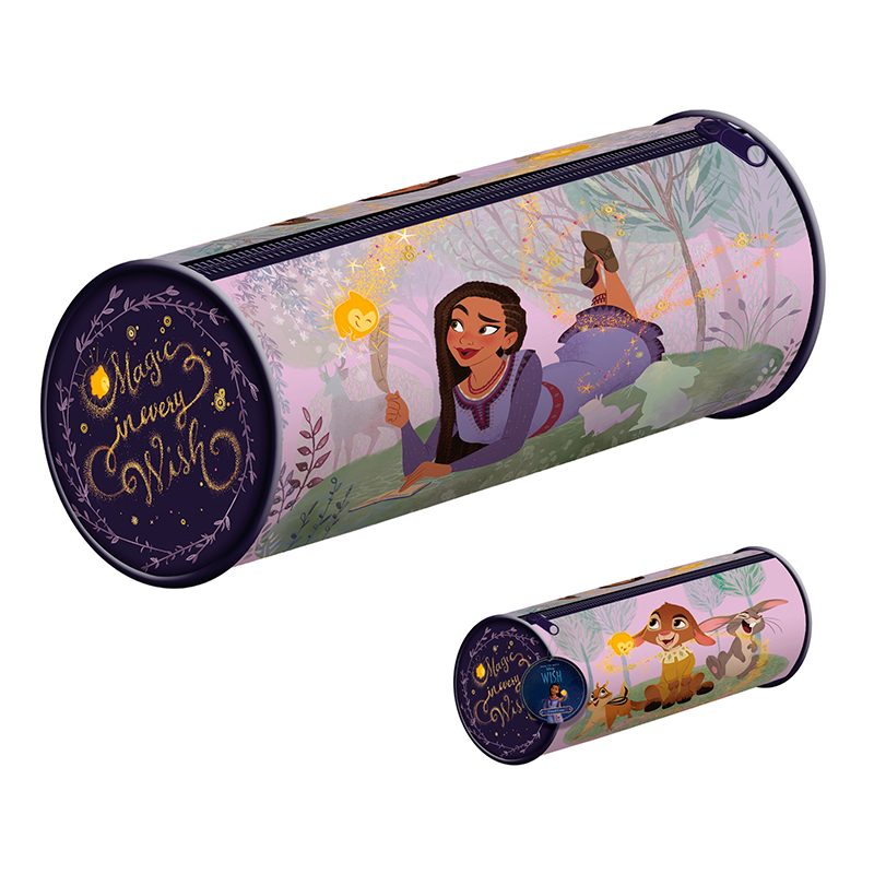 Disney Wish pencil case