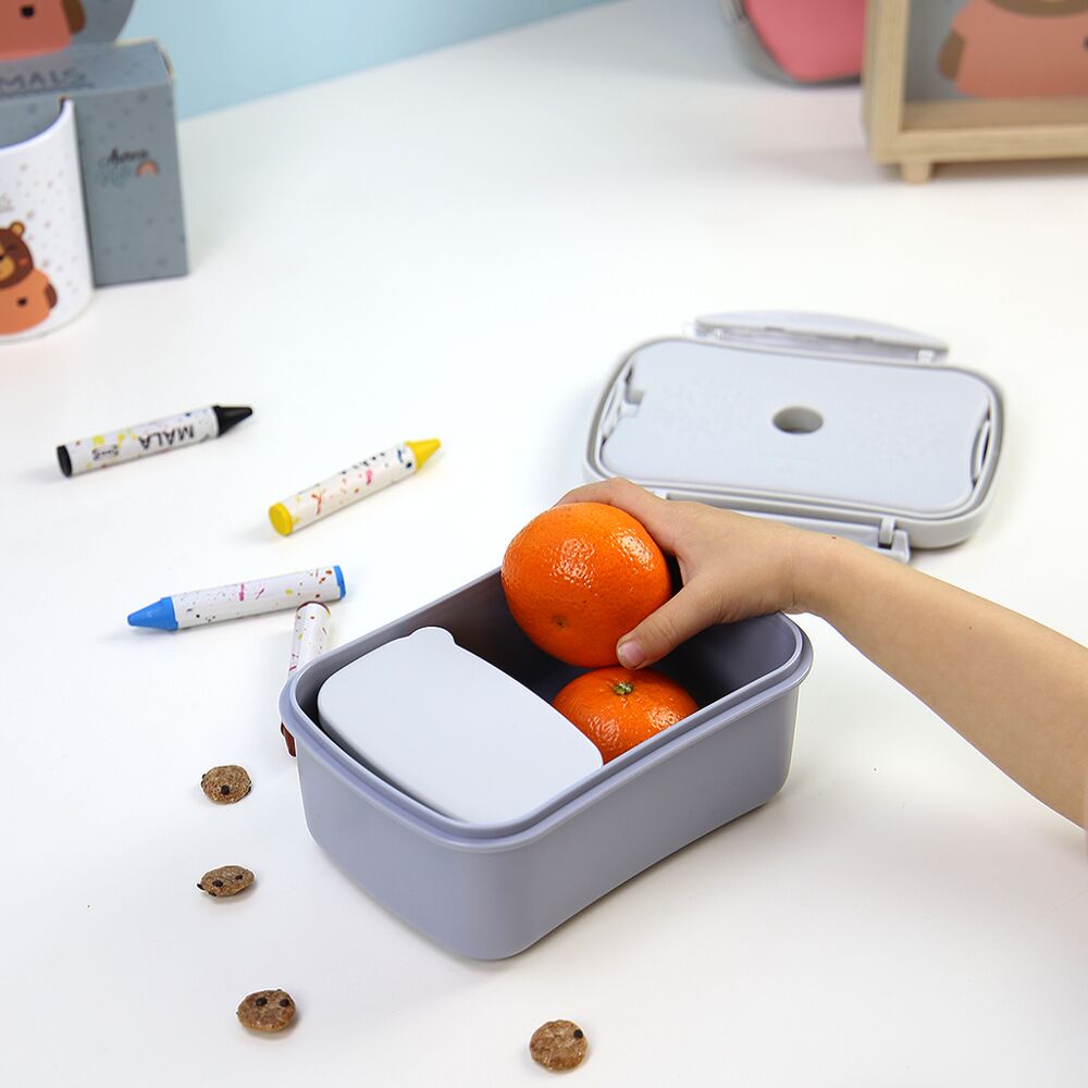 Bear hermetic with cooling plate + box lunch bag