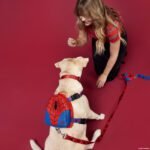 PETS-SPIDERMAN-410 (1)