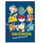 Pokemon polar blanket